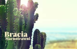 Marnotrawni Bracia