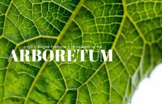 Arboretum