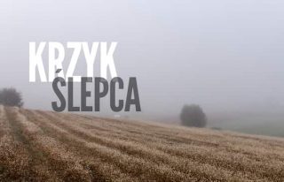 Krzyk ślepca