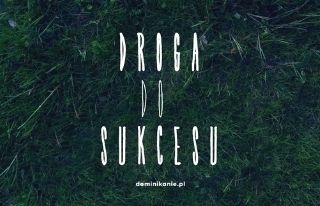 Droga do sukcesu