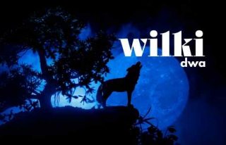Wilki dwa