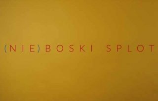 (NIE)BOSKI SPLOT
